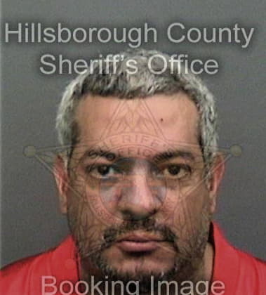 Michael Johnson, - Hillsborough County, FL 