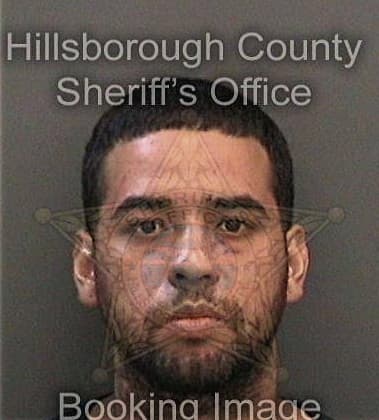 Travis Moeller, - Hillsborough County, FL 