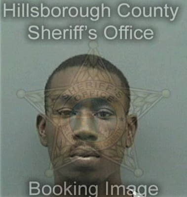 Steven Ogletree, - Hillsborough County, FL 