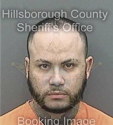 Stuart Potter, - Hillsborough County, FL 