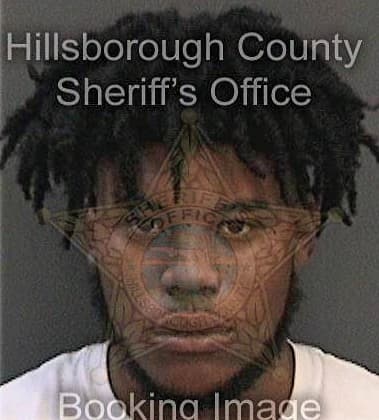 Terrence Sampson, - Hillsborough County, FL 