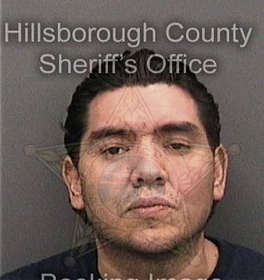 Forrest Stevens, - Hillsborough County, FL 