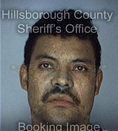 Paul Tassinario, - Hillsborough County, FL 