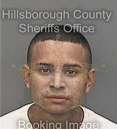 Ramon Thompson, - Hillsborough County, FL 