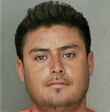 Alfredo Torres-Mejia, - Polk County, FL 