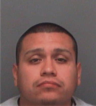 Santos Arriolamurillo, - Pinellas County, FL 