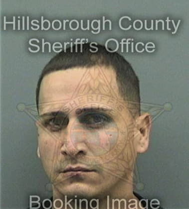 David Griswald, - Hillsborough County, FL 