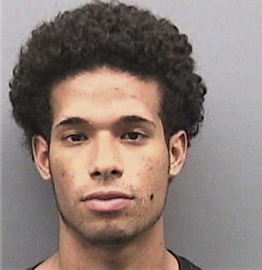 Arsenio Johnson, - Hillsborough County, FL 