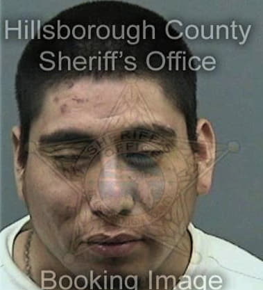 Sabrino Bautista, - Hillsborough County, FL 