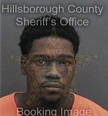 Henry Bradford - Hillsborough County, FL 