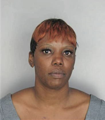 Aretha Johnson, - Hillsborough County, FL 