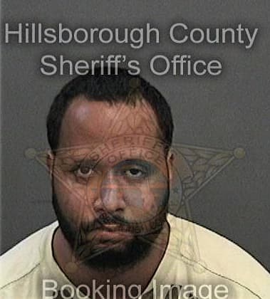 Gabriel Ortegon, - Hillsborough County, FL 