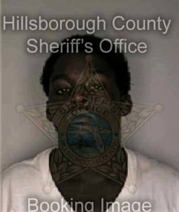 Clinton Bivens - Hillsborough County, FL 