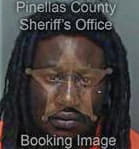 Sean Flournoy, - Pinellas County, FL 