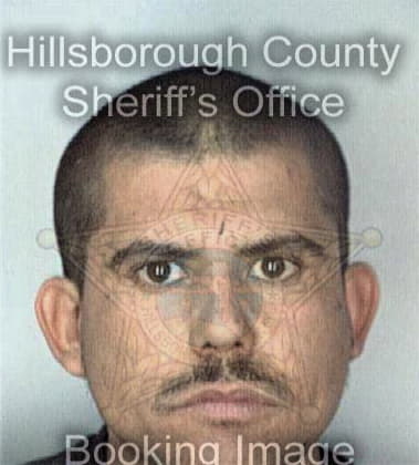 Felix Medina - Hillsborough County, FL 