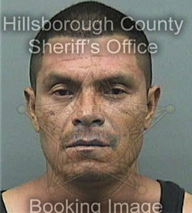 Juan Molaalfaro, - Hillsborough County, FL 