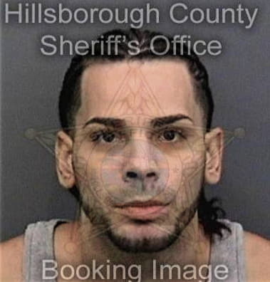 Elvis Riverahernandez - Hillsborough County, FL 