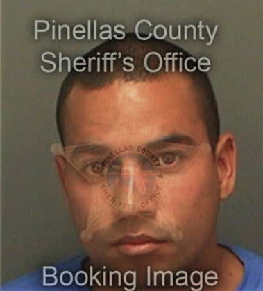 Roque Rosario, - Pinellas County, FL 