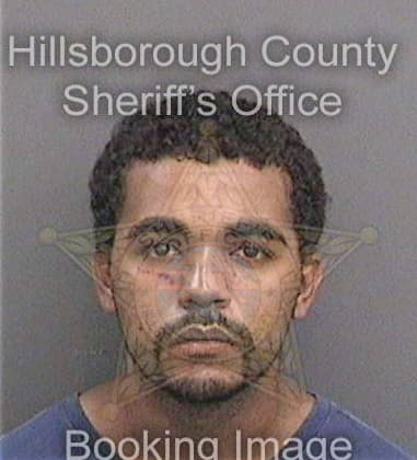 Michael Alvarado, - Hillsborough County, FL 