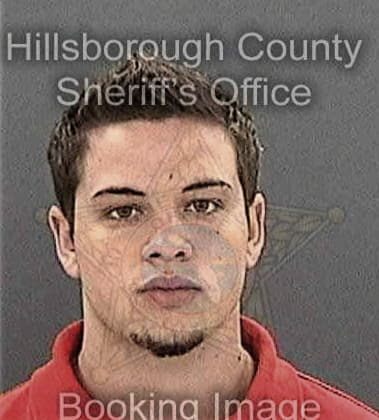 Michael Burchfield, - Hillsborough County, FL 