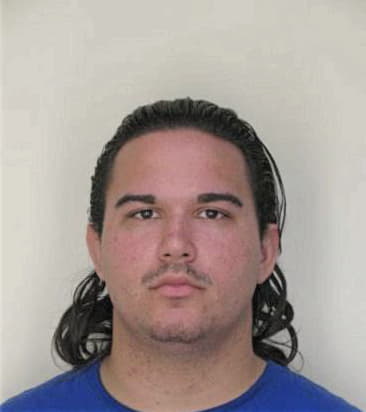 Ricardo Cabreravargas, - Hillsborough County, FL 