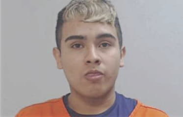 Diego Guerra, - Hidalgo County, TX 