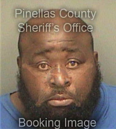 Michael Patterson, - Pinellas County, FL 