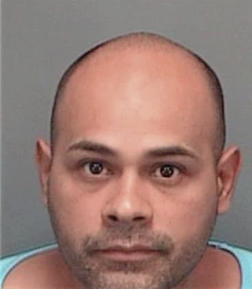 Antonio Resendizzavala, - Pinellas County, FL 