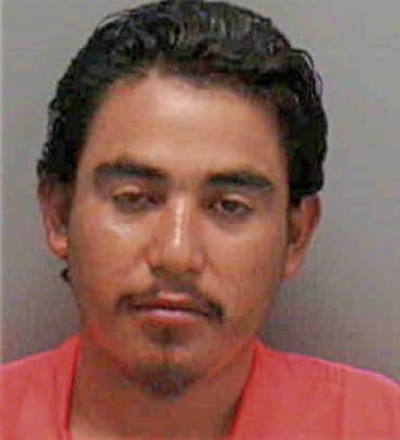 Guillermo Delahoz, - Lee County, FL 