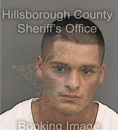 James Ferreira, - Hillsborough County, FL 