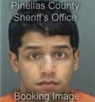 Eliaxy Gonzalez, - Pinellas County, FL 