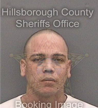 James Lapidus, - Hillsborough County, FL 