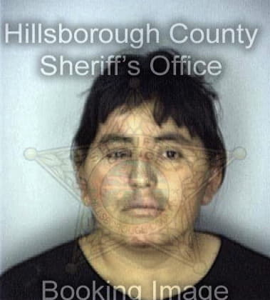 Heather Rebaldo, - Hillsborough County, FL 