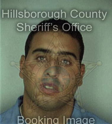 Timothy Sajgovic, - Hillsborough County, FL 