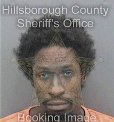 Quincy Anderson, - Hillsborough County, FL 