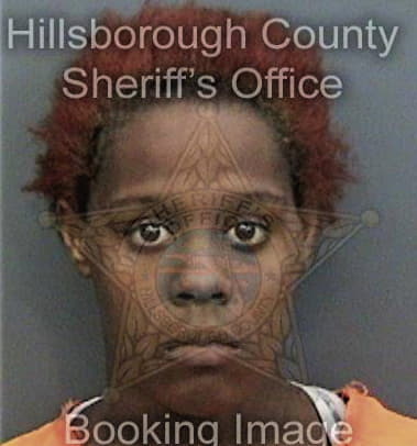 Shaemmit Anderson, - Hillsborough County, FL 