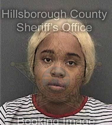 Chamera Bowman - Hillsborough County, FL 
