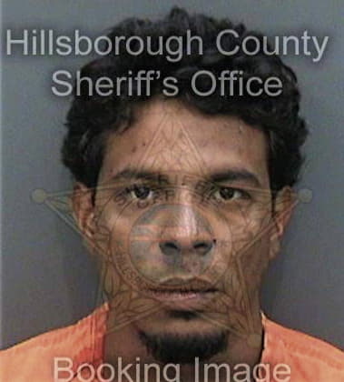 Carlos Figueredorodriguez, - Hillsborough County, FL 