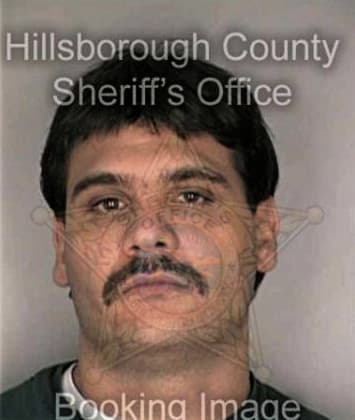 Milton Figueroa, - Hillsborough County, FL 