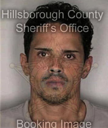 Vicente Hernandez - Hillsborough County, FL 