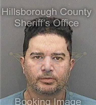 Onel Hernandeziznaga - Hillsborough County, FL 