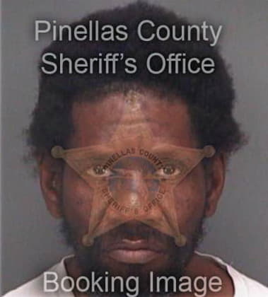 Bryan Wallace, - Pinellas County, FL 