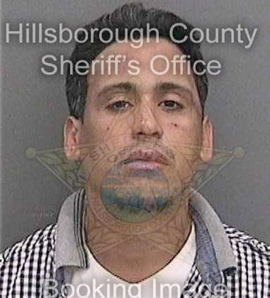 Edwin Almonte, - Hillsborough County, FL 