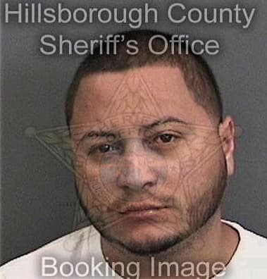 Jason Bedford, - Hillsborough County, FL 