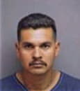 Daniel Castillo, - Manatee County, FL 