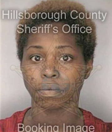 Natacha Cerome, - Hillsborough County, FL 