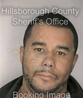 Lazaro Fernandez, - Hillsborough County, FL 