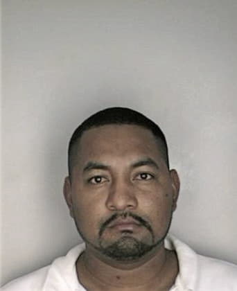 Mario Hernandez - Hillsborough County, FL 
