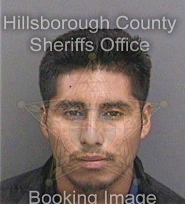 Adrian Higgins, - Hillsborough County, FL 