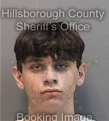 Emmanuel Rosado-Cintron, - Hillsborough County, FL 